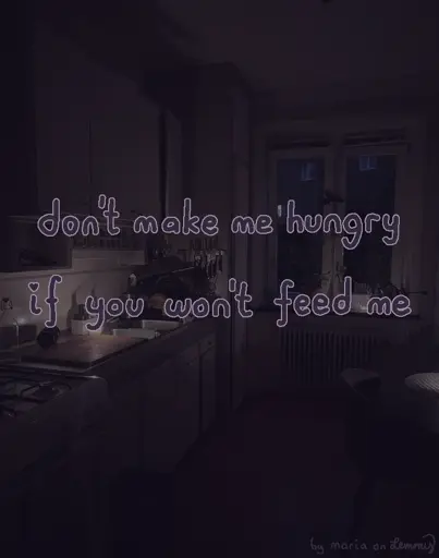 photo of a kitchen during the night. small lights are illuminating the kitchens surfaces. it's dark outside. text overtop says "don't make me hungry if you won't feed me". bottom right says "by maria on lemmy"