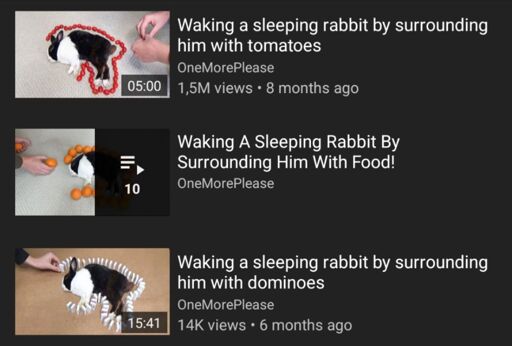 A screenshot of a list of Youtube videos about surrounding a sleeping rabbit with various items until it wakes up.