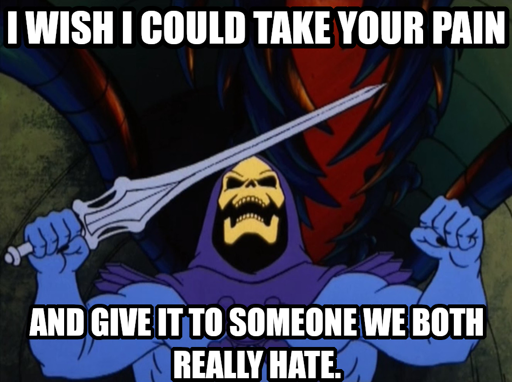 a screenshot of skeletor from the show, sword in right hand, both arms up in anger. The caption says "I wish I could take your pain and give it to someome we both hate"