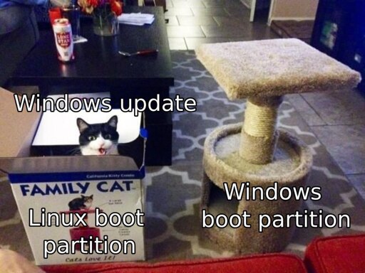 A cat sits inside a cardboard box of a cathouse, Ignoring the actual cathouse.

the cathouse is labeled as "windows boot partition"
the cardboard box is labeled as "linux boot partition"
the cat is labeled as "windows update"