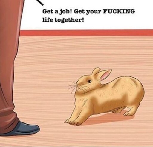 Bad Bunny