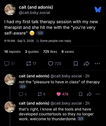 Counter-Therapism Rule