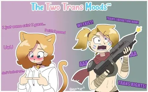 two trans moods: i just wanna exist, uwu, i wish i passed; we exist! trans liberation now!