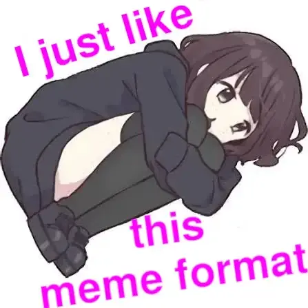 I just like this meme format. (Shows a girl in overkneesocks and an oversized hoodie huddled together on the ground)