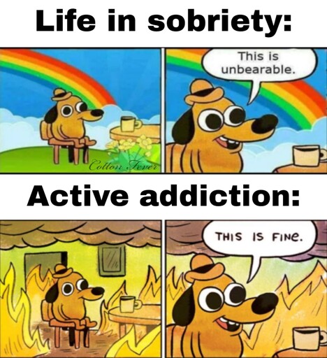 Can't win