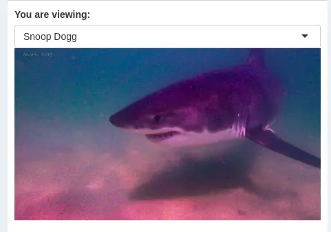 A photograph of a great white shark underwater, with the animal facing to the left and turning; its mouth is slightly ajar, showing its teeth.