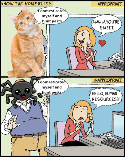 Two panels in the "Hello, Human Resources?!" meme template. Work place setting. Title: Know the home rules. Upper Panel, entitled "appropriate": A cat overlayed on a person stands next to another person's cubicle and says "I domesticated myself and hunt pests.". The person in the cubicle is enamored and replies: "Awww, you're sweet.". Lower Panel, entitled "inappropriate": Same scenario as the upper panel. This time a spider is overlayed on the person instead. The person in the cubicle is frightened and on the phone, saying: "Hello, human resources?!"