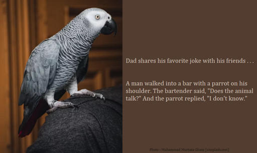 Dad tells a joke : A man walked into a bar with a parrot on his shoulder. The bartender said, "Does the animal talk?" And the parrot replied, "I don't know."