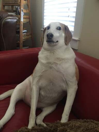 "I LOVE FEMBOYS" MFS When They See a FEMBOY In Real Life: