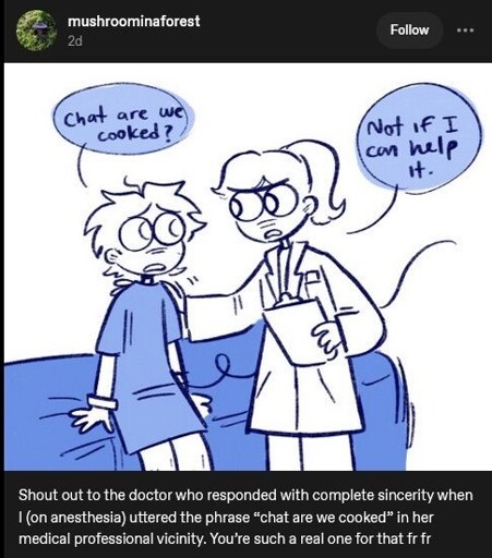 mushroominaforest: “Chat are we cooked?”¹ 👩‍⚕️: “Not if I can help it.” ¶ Shout out to the doctor who responded with complete sincerity when I (on anesthesia) uttered the phrase¹ in her medical professional vicinity. You're such a real one for that frfr