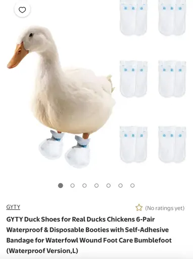 online shopping item labelled: "GYTY Duck Shoes for Real Ducks Chickens 6-Pair
Waterproof & Disposable Booties with Self-Adhesive Bandage for Waterfowl Wound Foot Care Bumblefoot (Waterproof Version,L)"