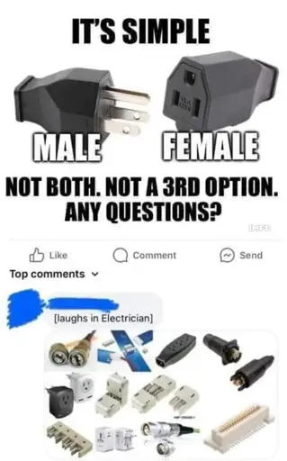 Picture of a plug and a outlet captioned: "It's simple. Male. Female. Not both. Not a 3rd option. Any questions?" Below:"[laughs in Electrician]" Picture of various different plugs and outlets
