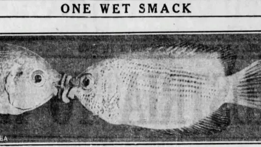 one wet smack