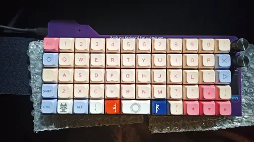 A keyboard with an ortholinear layout and a light blue, light pink and beige colour scheme. The purple PCB that holds it together has the text "dumb gay keyboard for a dumb gay" silkscreened onto it in comic sans. The meta key has a stylised Xenia the fox and the raise and lower keys are stylised after the game portal. There's two rotary encoders and a small oled screen on the right side on the keyboard