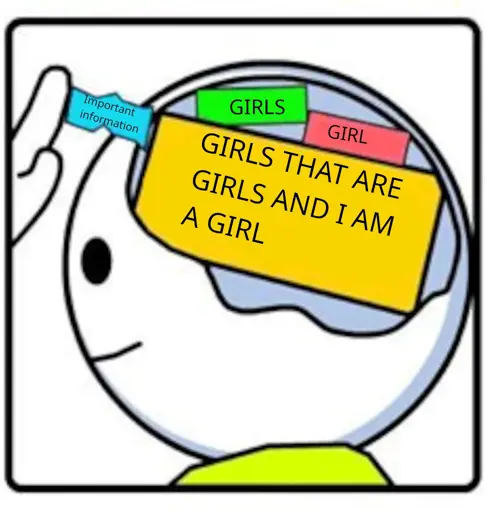 Person attempting to shove a block of important information into their head. The block is scrunched because there's no room. The head is taken up by three colored blocks: GIRLS, GIRL and GIRLS THAT ARE GIRLS AND I AM A GIRL