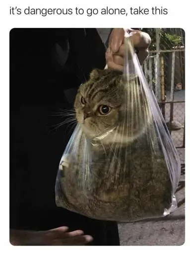 it's dangerous to go alone, take this