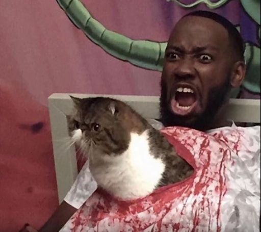 A flat nosed cat is "bursting" out of a guys chest as if the cat was a face hugger in the movie ALIEN. Actually there is a hole cut in his t-shirt and fake blood is spread around it, and the cat is placed inside.